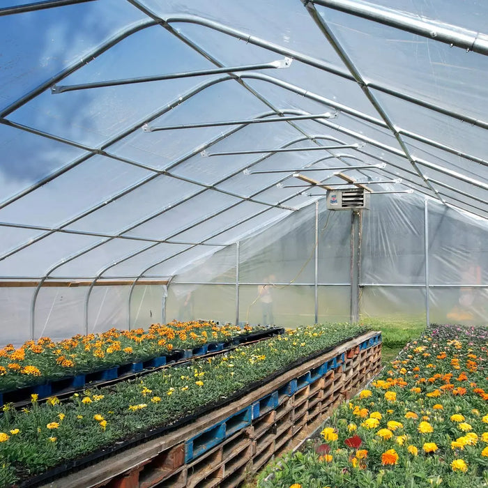 30' x 50' Commercial Tunnel Greenhouse with 6 Mil Clear Poly Covers and Roll-Up Sides TMG-GH3050 TMG Industrial