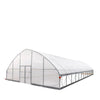 9 x 18 m Commercial Tunnel Greenhouse with 6 Mil Clear EVA Film, Roll-Up Sides, TMG-GH3060