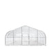 TMG Industrial 20’ x 30’ Tunnel Greenhouse Grow Tent w/12 Mil Ripstop Leno Mesh Cover, Cold Frame, Roll-up Windows, Peak Ceiling Roof, TMG-GH2030