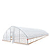 TMG Industrial 25’ x 100’ Tunnel Greenhouse Grow Tent w/6 Mil Clear EVA Plastic Film, Cold Frame, Hand Crank Roll-Up Sides, Peak Ceiling Roof, TMG-GH25100
