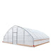 TMG Industrial 25’ x 25’ Tunnel Greenhouse Grow Tent w/6 Mil Clear EVA Plastic Film, Cold Frame, Hand Crank Roll-Up Sides, Peak Ceiling Roof, TMG-GH2525