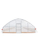 TMG Industrial 25’ x 60’ Tunnel Greenhouse Grow Tent w/6 Mil Clear EVA Plastic Film, Cold Frame, Hand Crank Roll-Up Sides, Peak Ceiling Roof, TMG-GH2560