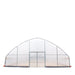 TMG Industrial 30’ x 100’ Tunnel Greenhouse Grow Tent w/6 Mil Clear EVA Plastic Film, Cold Frame, Hand Crank Roll-Up Sides, Peak Ceiling Roof, TMG-GH30100