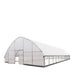TMG Industrial 30’ x 60’ Tunnel Greenhouse Grow Tent w/6 Mil Clear EVA Plastic Film, Cold Frame, Hand Crank Roll-Up Sides, Peak Ceiling Roof, TMG-GH3060
