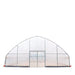 TMG Industrial 30’ x 80’ Tunnel Greenhouse Grow Tent w/6 Mil Clear EVA Plastic Film, Cold Frame, Hand Crank Roll-Up Sides, Peak Ceiling Roof, TMG-GH3080